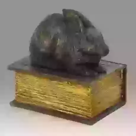 Rabbit on Book